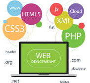 Customise Web Application Development